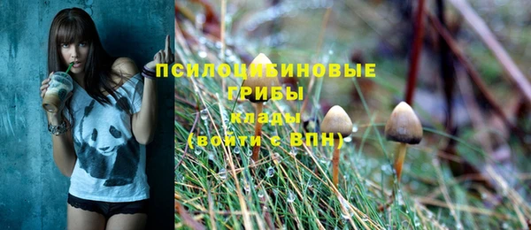 apvp Алзамай