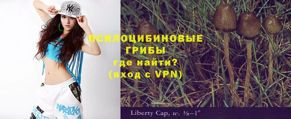 spice Алексин